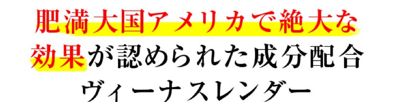 Pretty Rule�@�v���e�B���[�� �_�C�G�b�g�T�v���@���B�[�i�X�����_�[500�~���j�^�[�\�����T�C�g